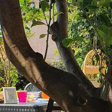 Alojamento de Acomodação e Pequeno-almoço Le Ginestre
