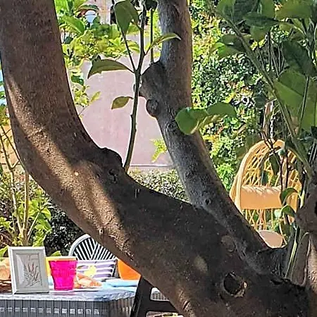 Le Ginestre Alojamento de Acomodação e Pequeno-almoço